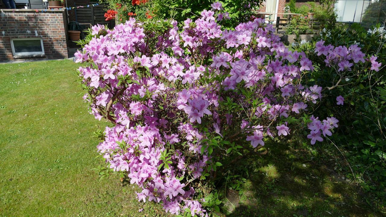 Alsterdorf Hamborg