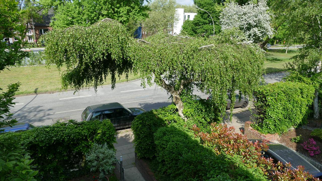 Privat bolig Alsterdorf Hamborg