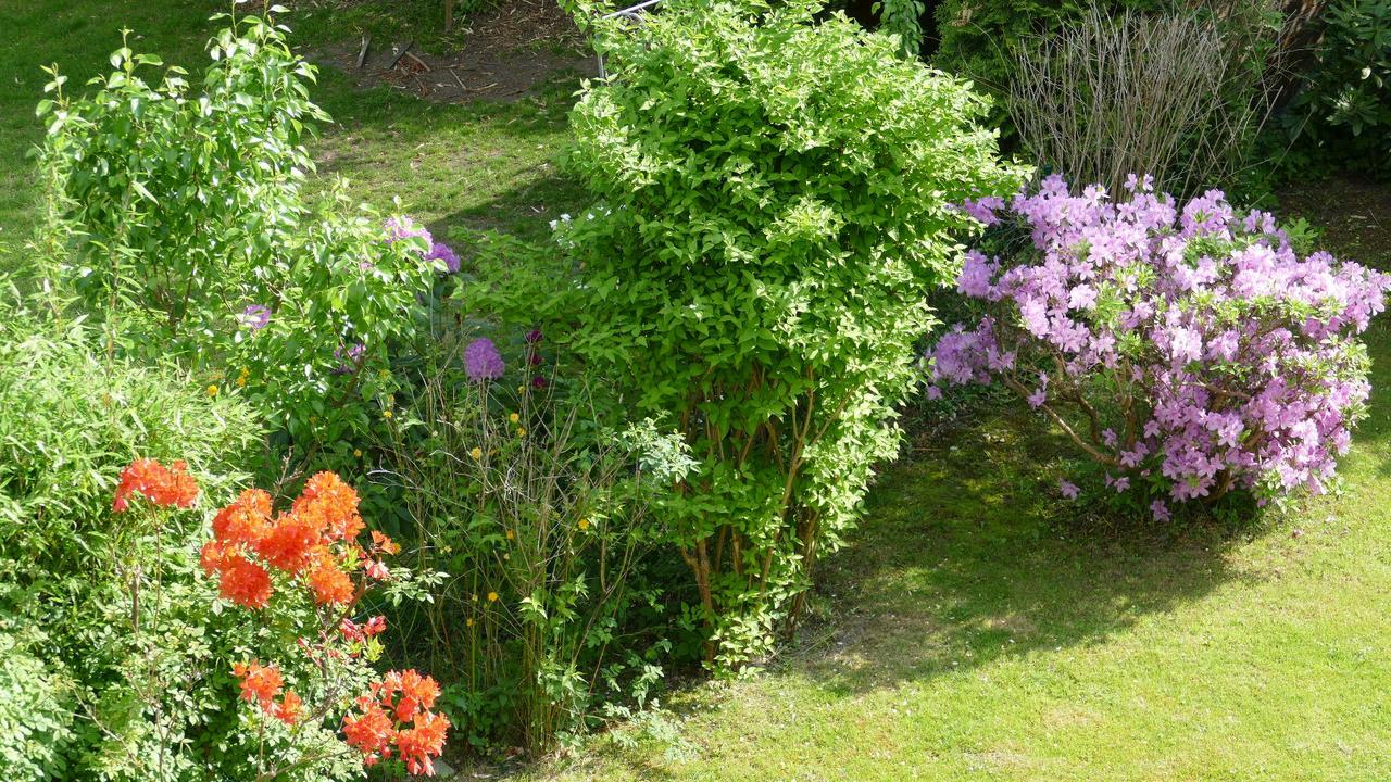 Alsterdorf Privat bolig