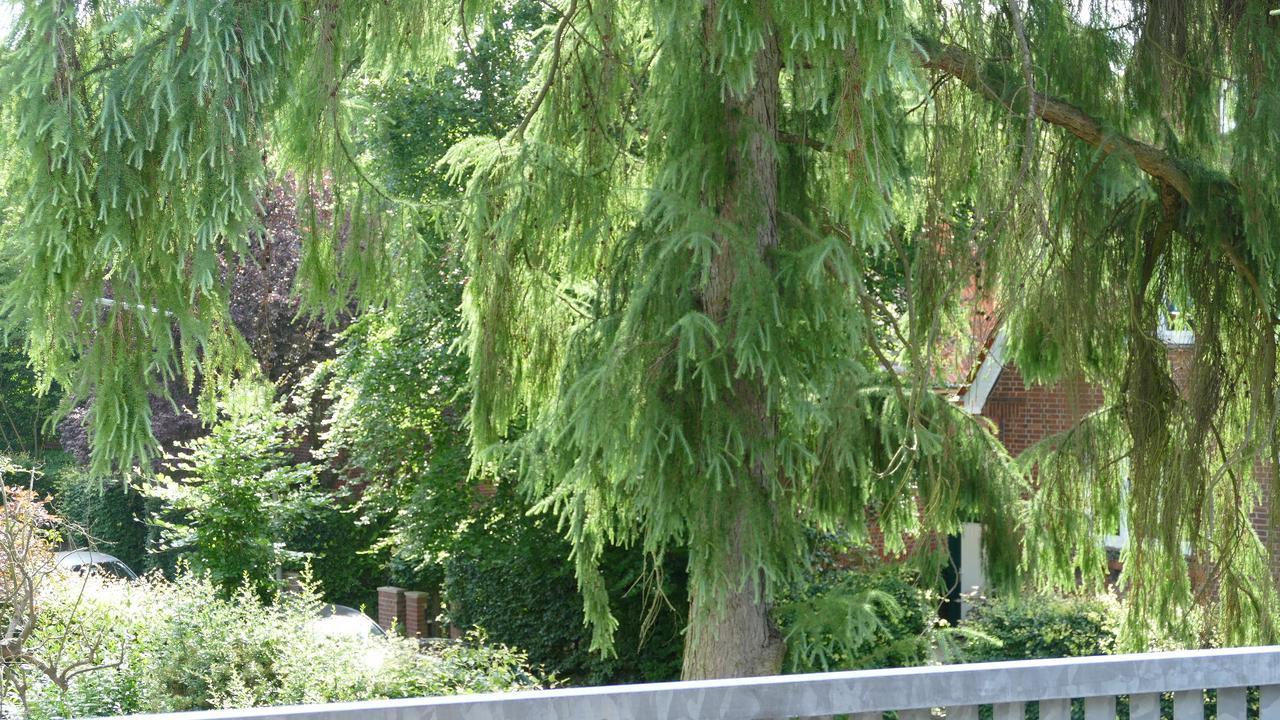 Privat bolig Alsterdorf